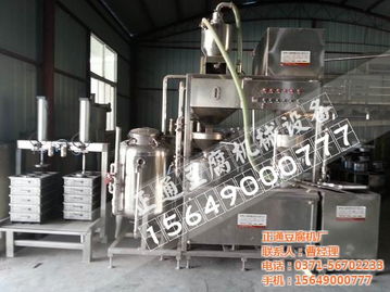 中型豆腐机价格解析与正通豆腐机厂产品概览